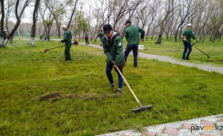 Более двух тысяч павлодарских школьников и студентов смогут подзаработать, вступив в ряды "Жасыл ел"