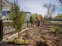 Обновленный городской парк павлодарцам презентуют в День защиты детей