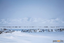 В Павлодарской области районные акиматы не спешат вывозить снег в селах