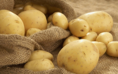 Павлодарские картофелеводы теряют покупателей из-за российских конкурентов