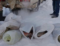 Сельчанин в Павлодарской области незаконно перевозил рыбу в мешках