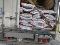 Тысячу тонн подкарантинной продукции вернул Россельхознадзор в Казахстан