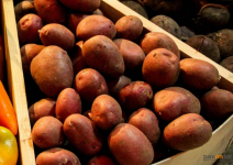 Рост цены на картофель объяснили перерывами поставок из-за морозов в Павлодарской области