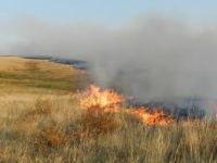 Около 180 га степи спалил пожар в сельской зоне Экибастуза