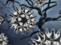 ВОЗ бьет тревогу из-за распространения вируса MERS