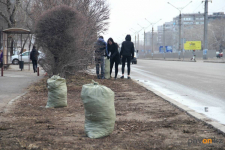 Павлодар начали приводить в порядок после зимы