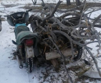 В Павлодарской области задержали незаконных лесорубов