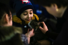 Павлодарские зоозащитники проведут детский новогодний утренник с участием животных из приюта