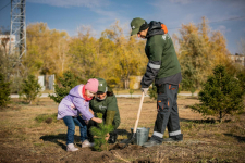 В Аксу заводчане продолжают старую добрую традицию - высаживать деревья