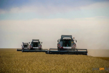 Около 400 тысяч тонн зерна могут экспортировать сельхозтоваропроизводители Павлодарской области