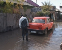 Товарищи по несчастью