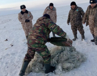 Рыбу и раков освободили госинспекторы из браконьерских сетей в водохранилище Павлодарской области