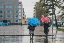 В Павлодаре подсчитали поваленные ветром деревья, поврежденные остановки и обесточенные многоэтажки