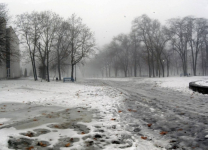 Температура в Павлодаре приближается к нулевой отметке