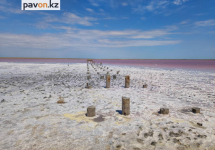 Местные жители добывают соль на розовом озере возле села Коряковка
