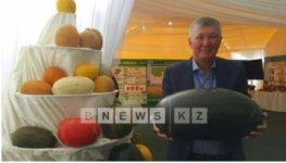 Глава государства попробовал знаменитые лебяжинские арбузы в Павлодаре