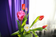 8 марта - успешный день для цветочников