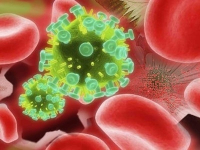 Найден механизм образования антител против вируса ВИЧ