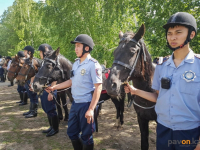 Экс-начальника полицейского ведомства в Павлодарской области оштрафовали за неэффективное планирование бюджета