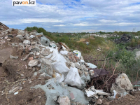 Как предотвратить появление несанкционированных свалок в Павлодарской области, задумались власти и общественники