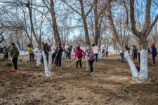 Почти шесть миллиардов тенге потратят в Павлодарской области на благоустройство, озеленение и санитарное содержание населенных пунктов