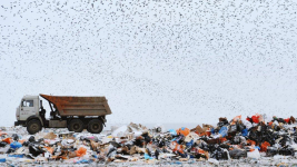 Четыре новых мусорных полигона могут появиться в Павлодарской области в 2023 году