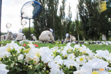 Бойцы "Жасыл ел" ухаживают за цветами в Павлодаре
