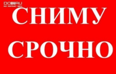 срочно сниму квартиру