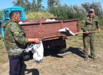 Лесники Павлодарской области ежедневно собирают мешки мусора за отдыхающими