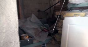 В Шымкенте на свалке медцентра нашли мертвого младенца