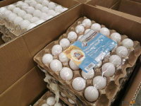 О существенном снижении цен на яйцо сообщили в управлении предпринимательства Павлодарской области