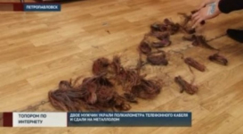 Двое мужчин в течение месяца обрубали топором провода Интернета в Петропавловске
