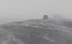 Из-за метели закрыли участок дороги в Павлодарской области