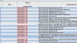 Серьезную ошибку нашли в базе данных юридических лиц Казахстана