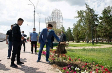 Качество работы подрядчиков по озеленению пересмотрят в Павлодаре
