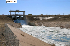 В Павлодарской области начались природоохранные попуски на канале имени Сатпаева