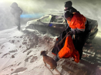 Больше 30 крыш сорвало ураганным ветром в Павлодарской области