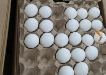Яйца по карманам: в павлодарском магазине пообещали показать фотографии воришек, если кражи продукта не прекратятся