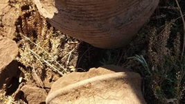 Водитель экскаватора нашел посуду бронзового века в Павлодарской области