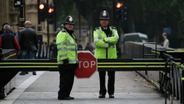 В Лондоне погиб высунувшийся из окна поезда мужчина