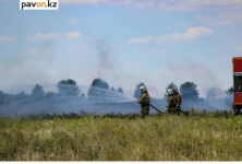 В Павлодарской области для защиты лесов от пожаров намерены использовать дроны