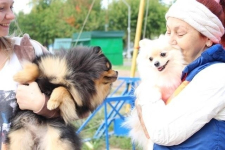 Более 70 собак разных пород участвовали в национальной выставке в Павлодаре