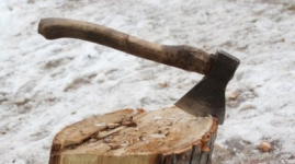 Срубить елку в центре города пытался житель Павлодара