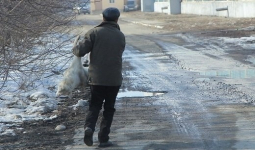 В Усть-Каменогорске чиновник участвовал в кровавой расправе над бродячими собаками
