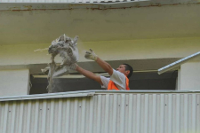В Павлодаре оштрафовали рабочего, выбрасывавшего строительный мусор с балкона