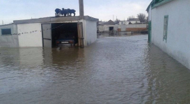 Десятки домов подтоплены из-за паводка в Карагандинской области