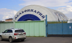 В Павлодаре откроется дельфинарий