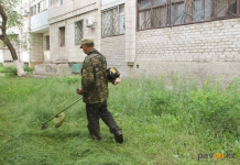 Павлодарским КСК напомнили о необходимости покоса травы возле многоэтажных домов