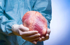 Китайские хирурги сумели «оживить» не бьющееся 7 часов сердце