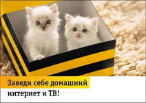 Beeline Казахстан запустил услугу переезда домашнего интернета и BeeTV